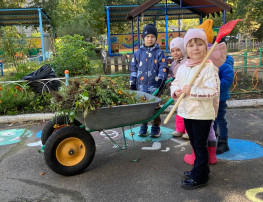 «Труд в природе» «Труд в природе».